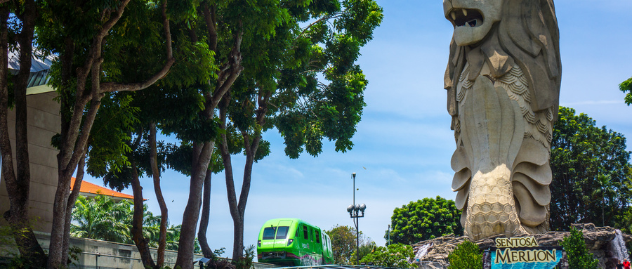 新加坡公司审计费用宏源国际